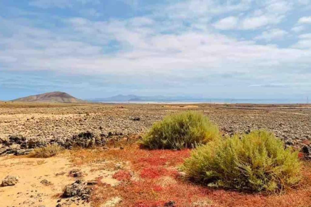 Chic&Surf Dunes View Lumineux Et Vue Superbe ! Corralejo Exterior photo